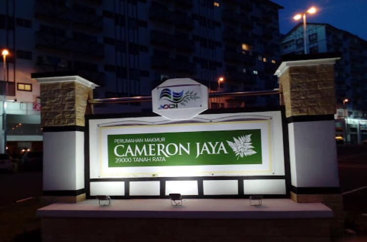 cameronjaya